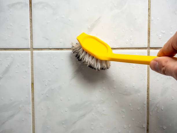 Best Mold Testing  in South Pottstown, PA