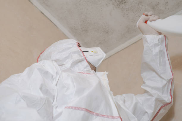Best Office Mold Removal Services  in South Pottstown, PA